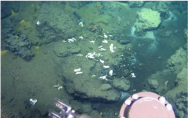 漲知識|水質污染物的來源及危害 漲知識|水質污染物的來源及危害