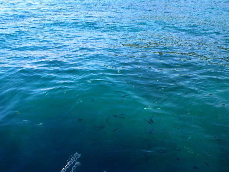 水質軟硬度和酸堿度有什么區別 水質軟硬度和酸堿度有什么區別