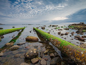 飲用水的安全提示我們要進行水質檢測 飲用水的安全提示我們要進行水質檢測